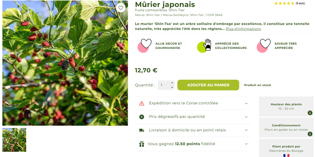 Elements d'une fiche produit e-commerce