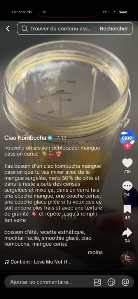 La description sur TikTok pour le SEO